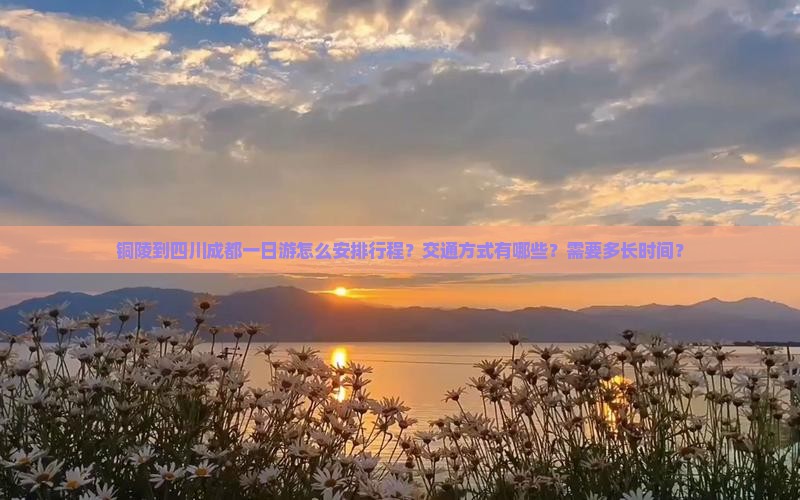 铜陵到四川成都一日游怎么安排行程？交通方式有哪些？需要多长时间？