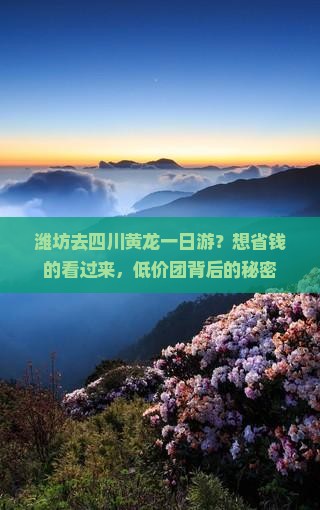 潍坊去四川黄龙一日游？想省钱的看过来，低价团背后的秘密