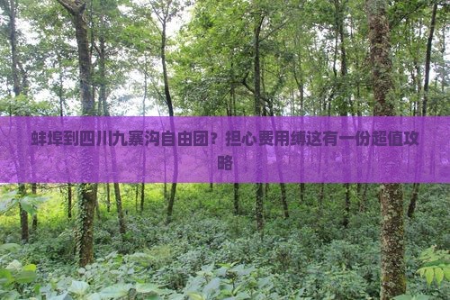 蚌埠到四川九寨沟自由团？担心费用缚这有一份超值攻略