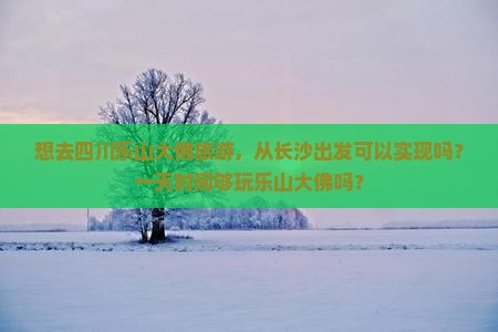 想去四川乐山大佛旅游，从长沙出发可以实现吗？一天时间够玩乐山大佛吗？