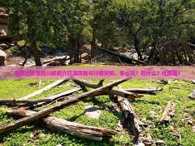 濮阳出发至四川成都六日游攻略与行程安排，怎么玩？吃什么？住哪里？
