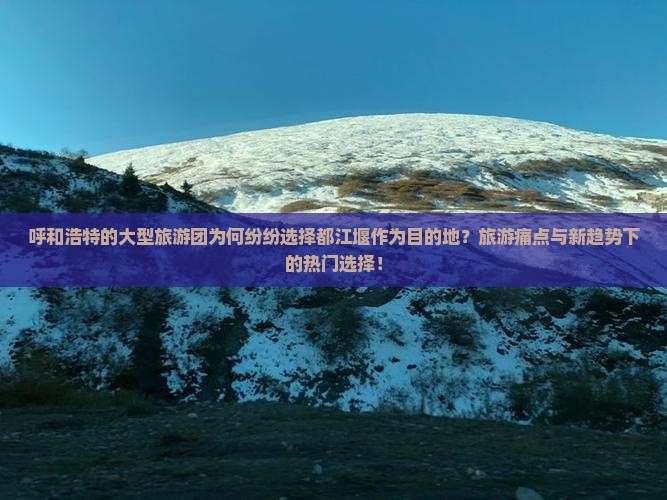 呼和浩特的大型旅游团为何纷纷选择都江堰作为目的地？旅游痛点与新趋势下的热门选择！