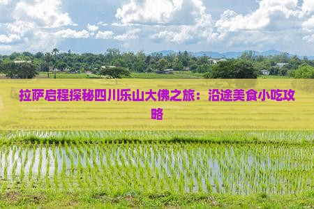 拉萨启程探秘四川乐山大佛之旅：沿途美食小吃攻略