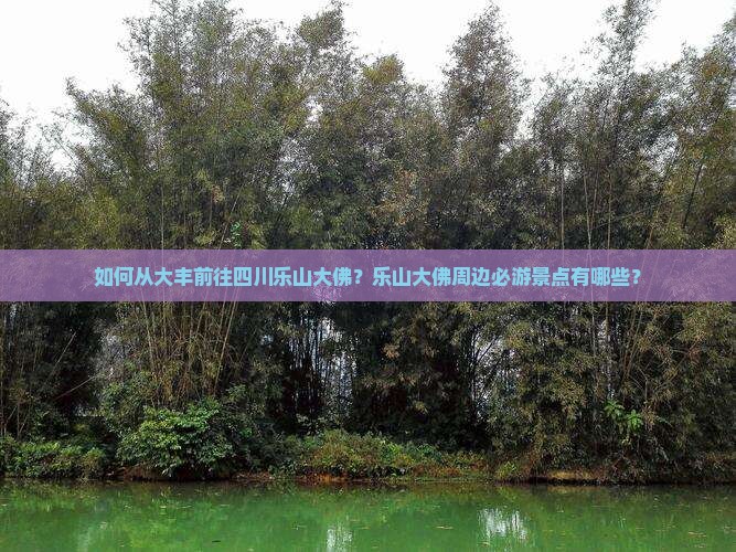 如何从大丰前往四川乐山大佛？乐山大佛周边必游景点有哪些？