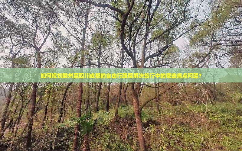 如何规划赣州至四川成都的自由行路犀解决旅行中的哪些痛点问题？