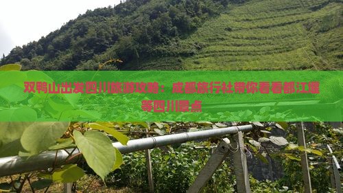 双鸭山出发四川旅游攻略：成都旅行社带你看看都江堰等四川景点