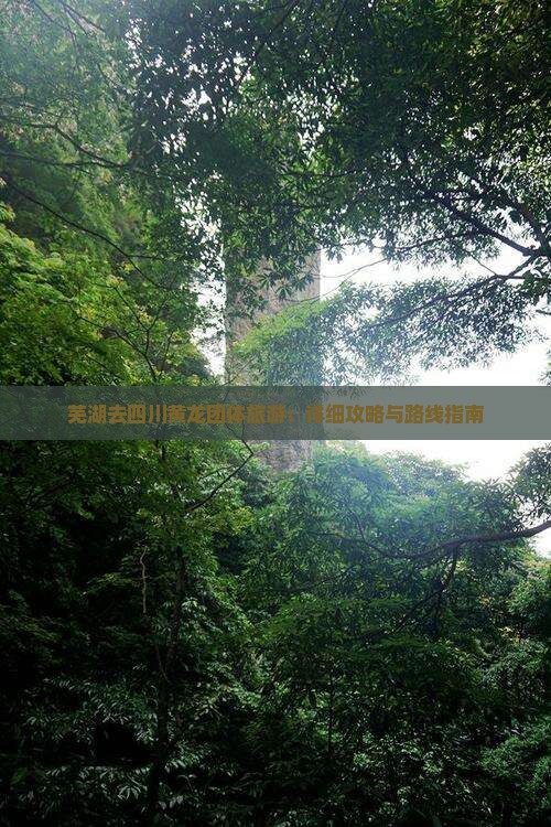 芜湖去四川黄龙团体旅游：详细攻略与路线指南