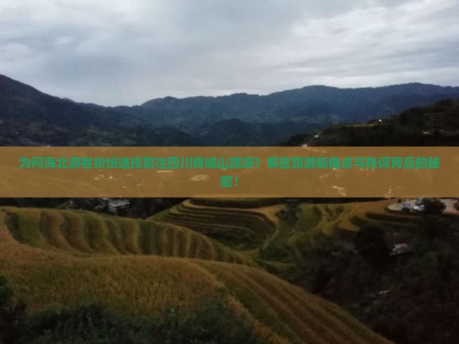 为何海北游客纷纷选择前往四川青城山旅游？解密旅游新痛点与热词背后的秘密！