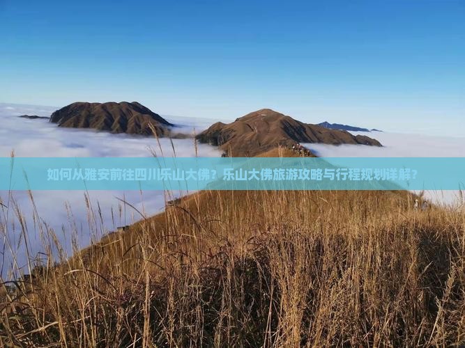 如何从雅安前往四川乐山大佛？乐山大佛旅游攻略与行程规划详解？