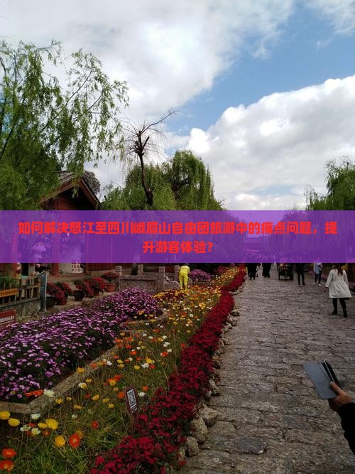 如何解决怒江至四川峨眉山自由团旅游中的痛点问题，提升游客体验？