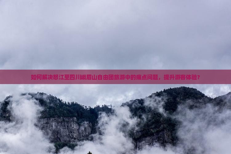 如何解决怒江至四川峨眉山自由团旅游中的痛点问题，提升游客体验？