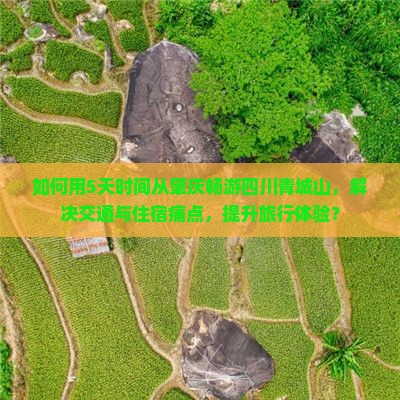 如何用5天时间从肇庆畅游四川青城山，解决交通与住宿痛点，提升旅行体验？