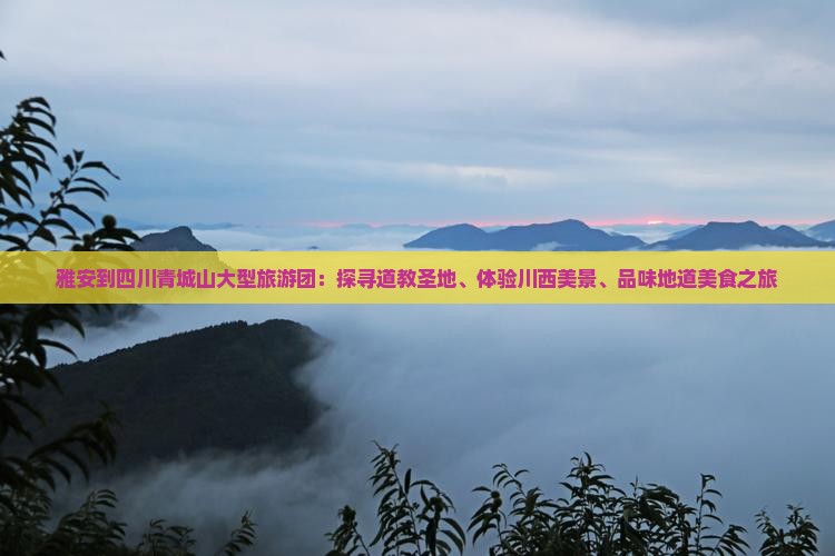 雅安到四川青城山大型旅游团：探寻道教圣地、体验川西美景、品味地道美食之旅