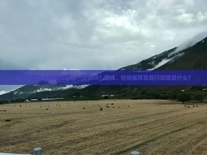 1月份适合去四川峨眉山一日游吗?路线、住宿推荐及旅行攻略是什么? 1月份适合去四川峨眉山一日游吗?路线、住宿推荐及旅行攻略是什么?