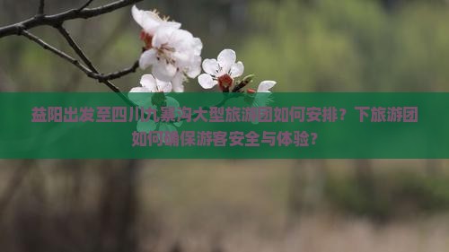 益阳出发至四川九寨沟大型旅游团如何安排？下旅游团如何确保游客安全与体验？