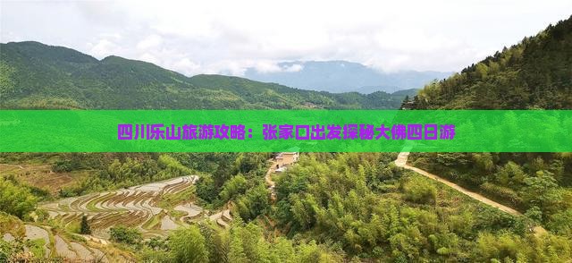 四川乐山旅游攻略：张家口出发探秘大佛四日游