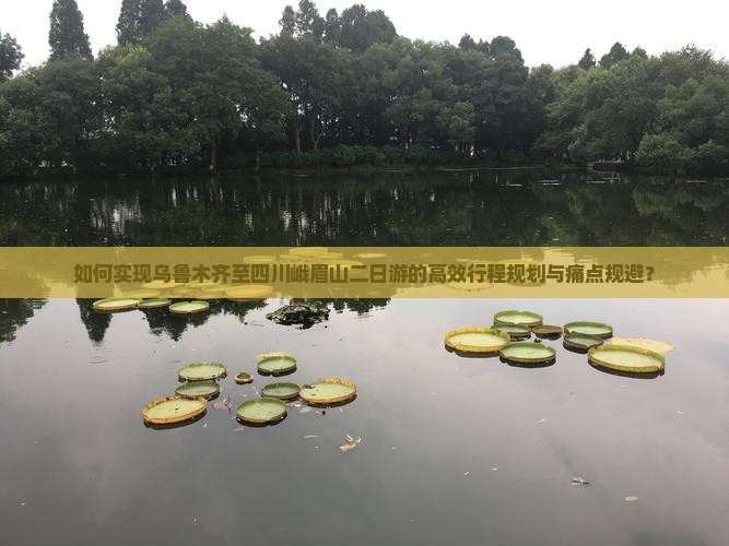 如何实现乌鲁木齐至四川峨眉山二日游的高效行程规划与痛点规避？