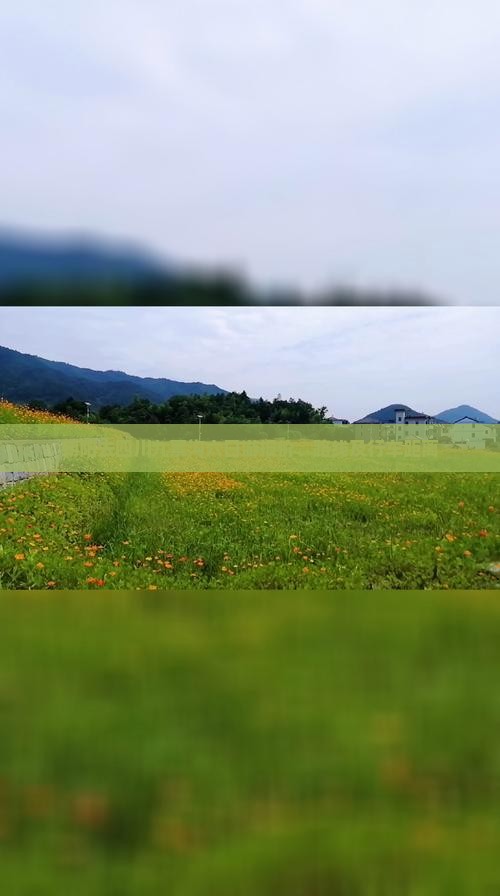 朝阳去四川九寨沟六日游报价、路线及行车距离