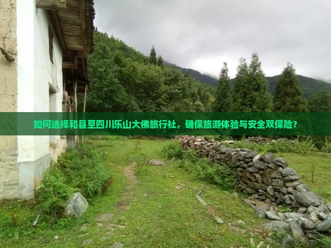 如何选择和县至四川乐山大佛旅行社，确保旅游体验与安全双保险？