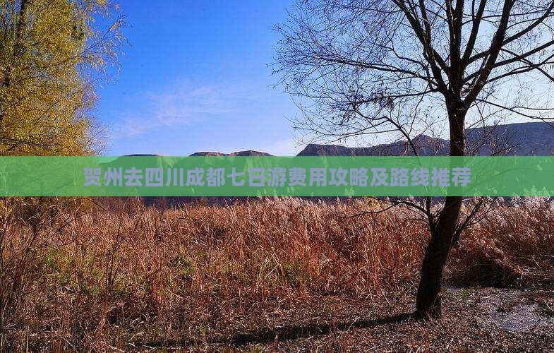 贺州去四川成都七日游费用攻略及路线推荐