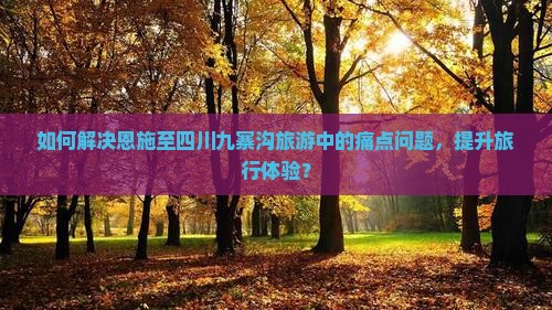 如何解决恩施至四川九寨沟旅游中的痛点问题，提升旅行体验？