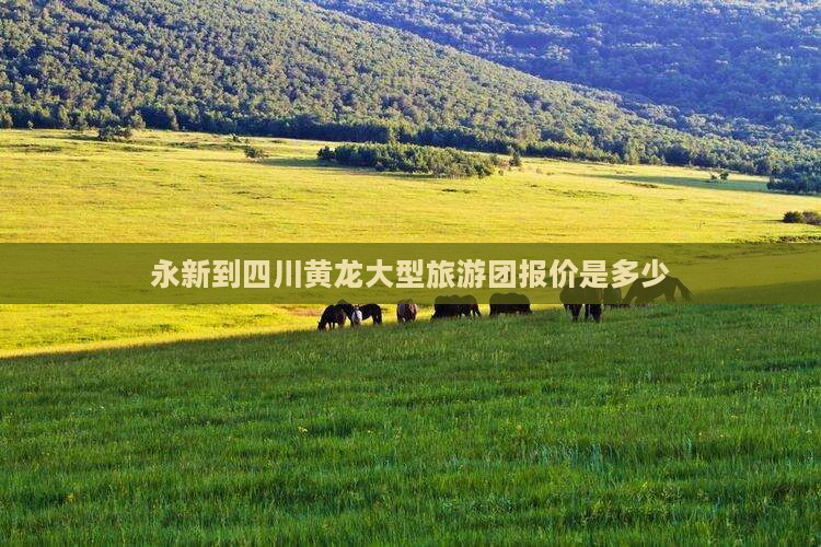 永新到四川黄龙大型旅游团报价是多少