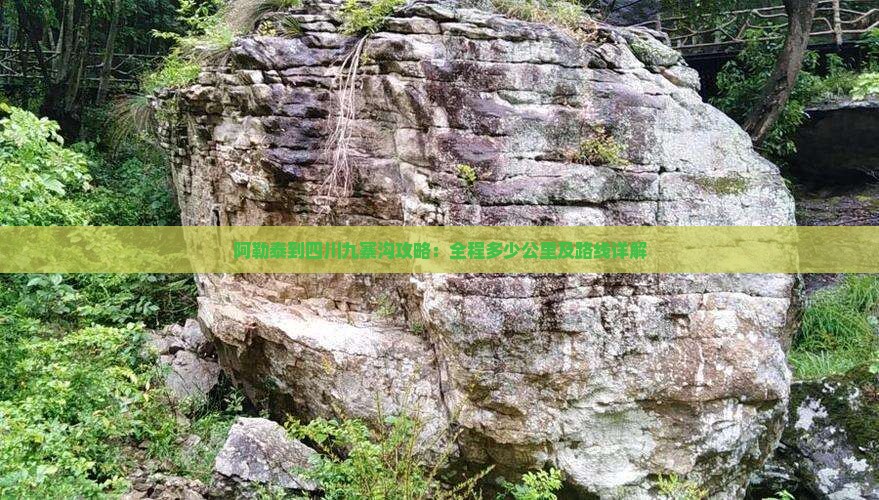 阿勒泰到四川九寨沟攻略：全程多少公里及路线详解