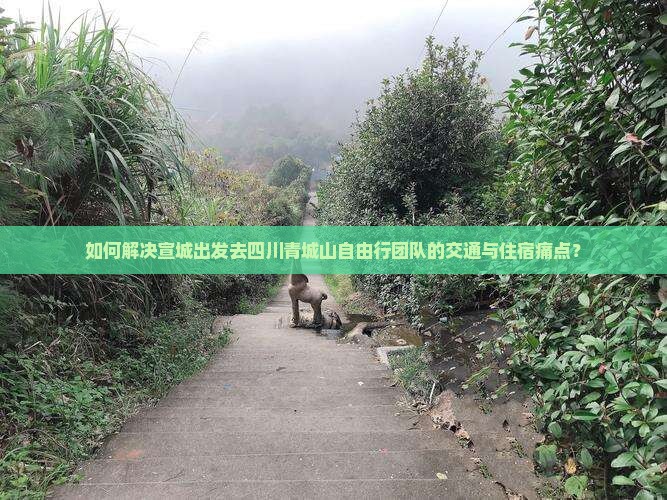 如何解决宣城出发去四川青城山自由行团队的交通与住宿痛点？