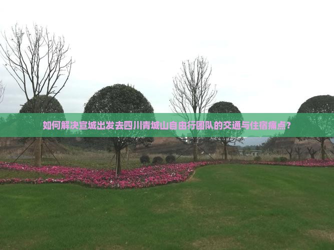 如何解决宣城出发去四川青城山自由行团队的交通与住宿痛点？