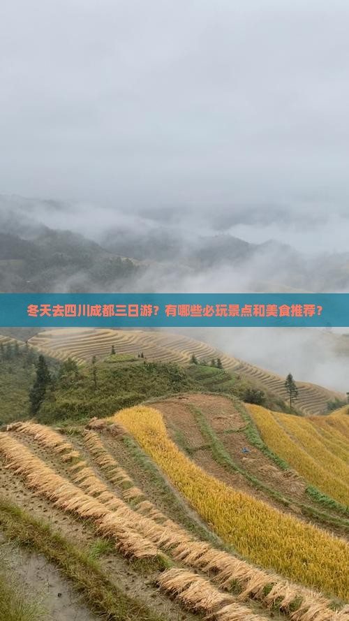 冬天去四川成都三日游？有哪些必玩景点和美食推荐？