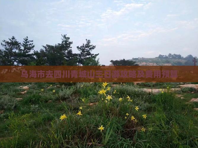 乌海市去四川青城山三日游攻略及费用预算