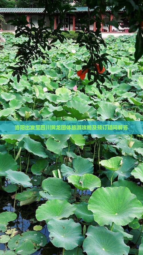 洛阳出发至四川黄龙团体旅游攻略及预订疑问解答