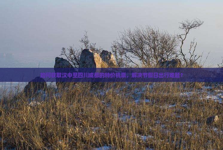 如何获取汉中至四川成都的特价机票，解决节假日出行难题？