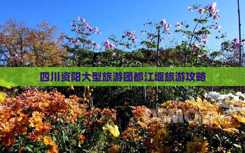 四川资阳大型旅游团都江堰旅游攻略