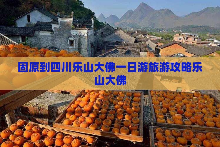 固原到四川乐山大佛一日游旅游攻略乐山大佛