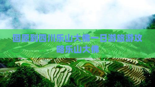 固原到四川乐山大佛一日游旅游攻略乐山大佛