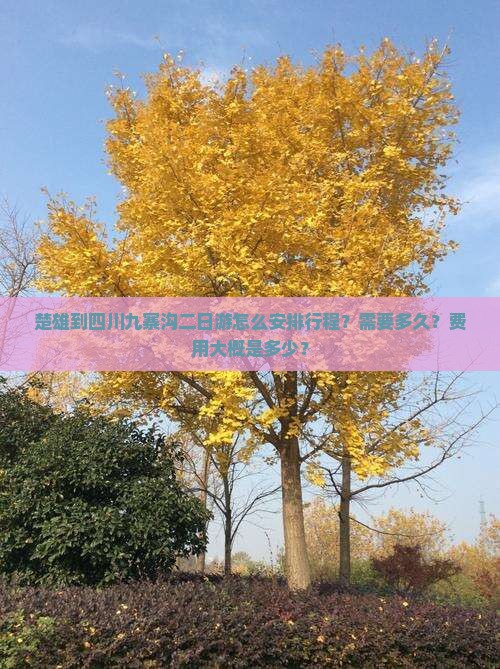 楚雄到四川九寨沟二日游怎么安排行程？需要多久？费用大概是多少？