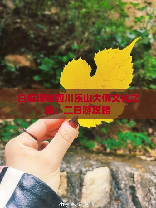 白城探秘四川乐山大佛文化之旅：二日游攻略