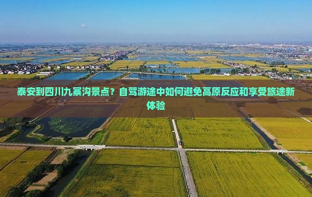 泰安到四川九寨沟景点？自驾游途中如何避免高原反应和享受旅途新体验