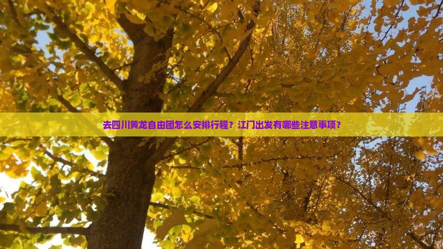 去四川黄龙自由团怎么安排行程？江门出发有哪些注意事项？