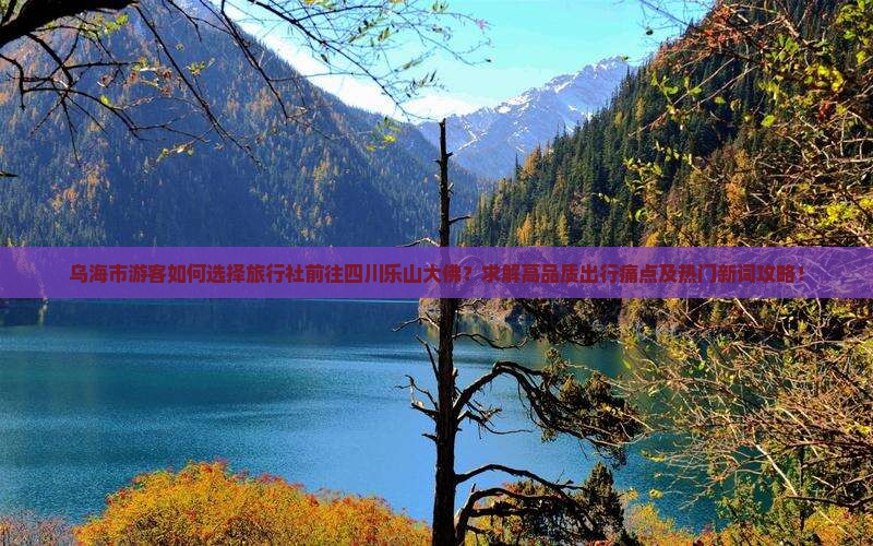 乌海市游客如何选择旅行社前往四川乐山大佛？求解高品质出行痛点及热门新词攻略！