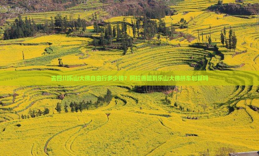 去四川乐山大佛自由行多少钱？阿拉善盟到乐山大佛拼车划算吗