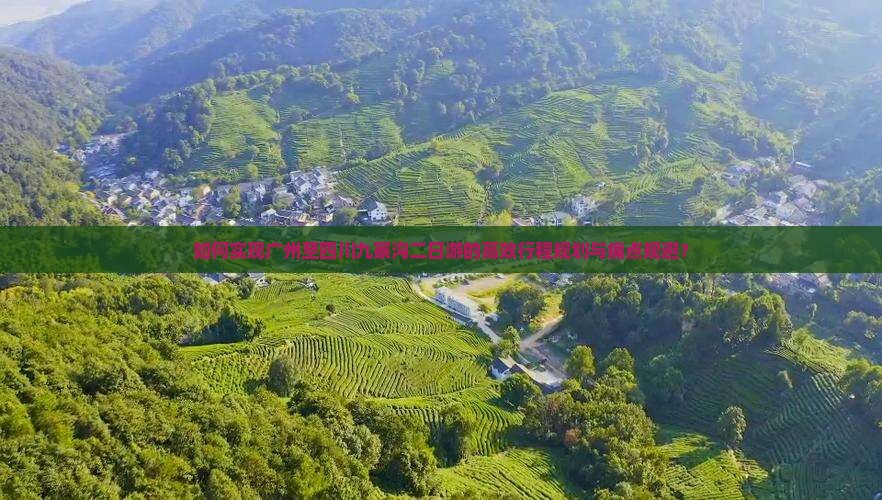如何实现广州至四川九寨沟二日游的高效行程规划与痛点规避？