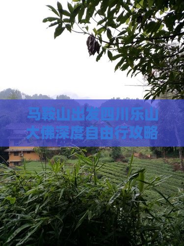 马鞍山出发四川乐山大佛深度自由行攻略