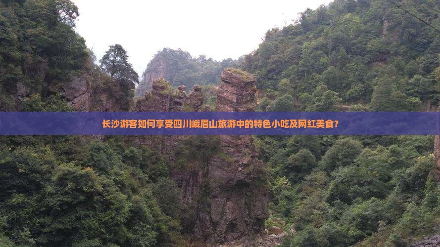 长沙游客如何享受四川峨眉山旅游中的特色小吃及网红美食？