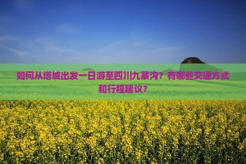 如何从塔城出发一日游至四川九寨沟？有哪些交通方式和行程建议？