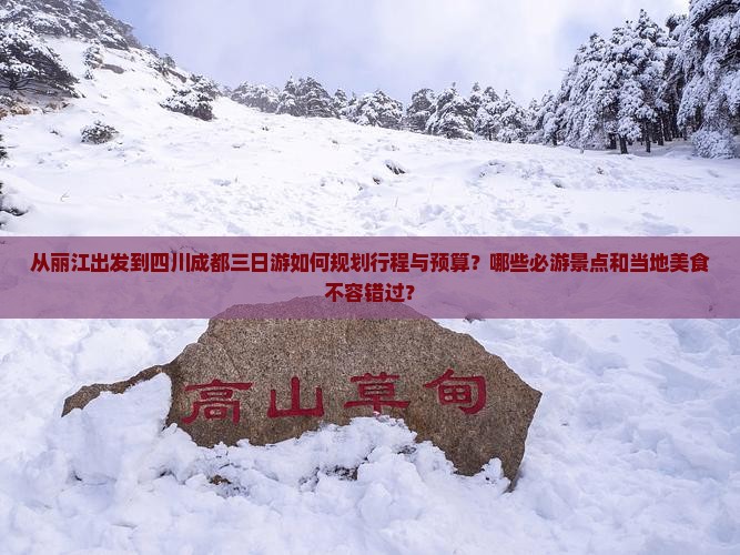 从丽江出发到四川成都三日游如何规划行程与预算？哪些必游景点和当地美食不容错过？