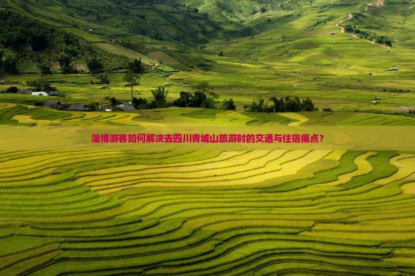 淄博游客如何解决去四川青城山旅游时的交通与住宿痛点？