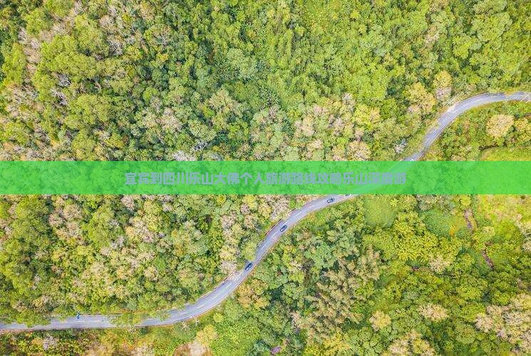 宜宾到四川乐山大佛个人旅游路线攻略乐山深度游