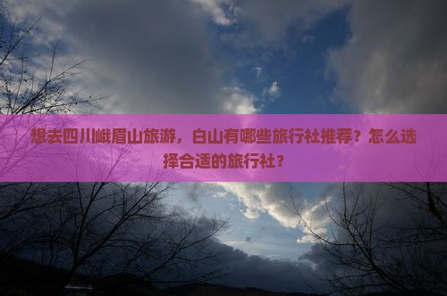 想去四川峨眉山旅游，白山有哪些旅行社推荐？怎么选择合适的旅行社？